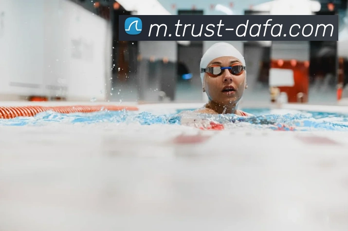 大发官网平台生态图