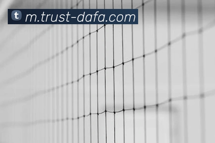 大发官网APP 封面图